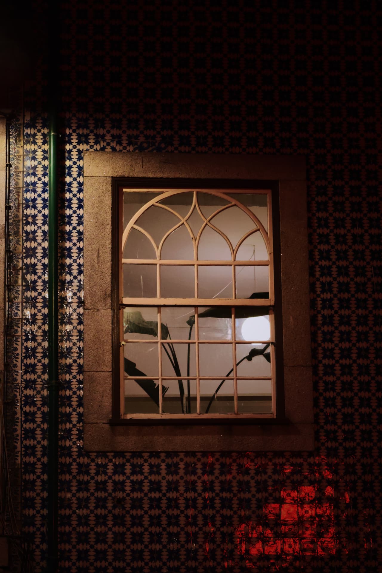 A lit window with a plant silhouette in a dark tiled facade at night