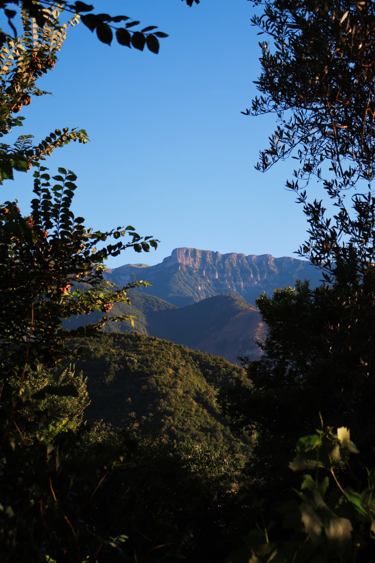 A distant mountain plateau seen through a natural frame of sunlit leaves and branches