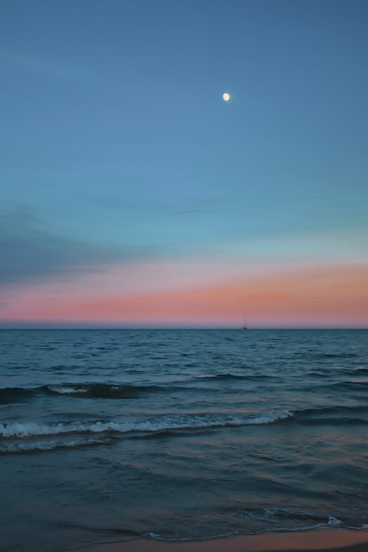 The moon rising over gentle waves as a pink dusk fades along the horizon