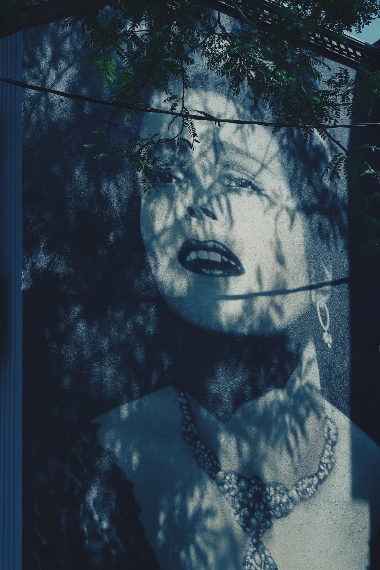 A large wall mural of a woman's face dappled by tree shadow