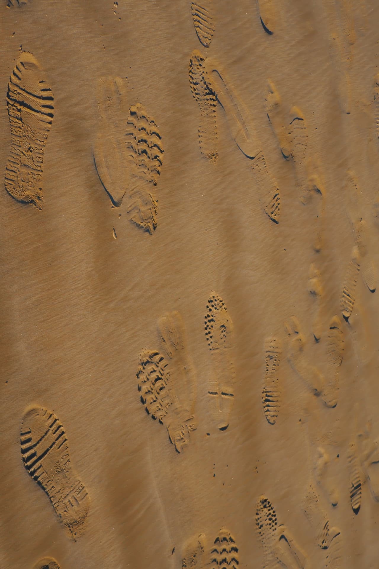 Footprints pressed into golden sand, crossing in every direction